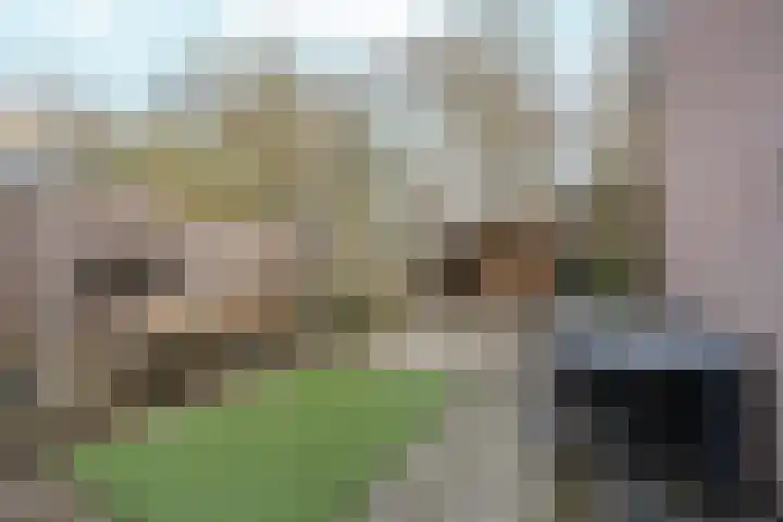 Verisstraat 63 Hoofddorp thumbnail 29