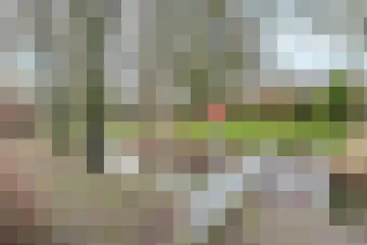 Verisstraat 63 Hoofddorp thumbnail 32