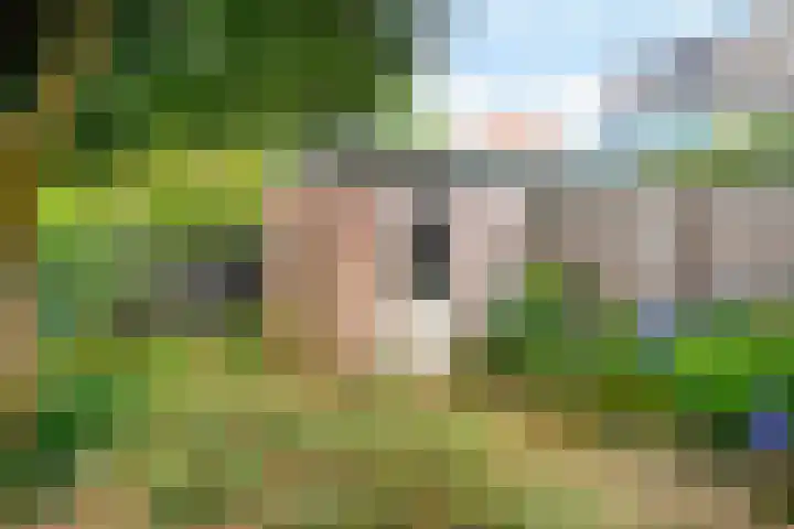 Veritasweg 28 Oosterbeek thumbnail 32
