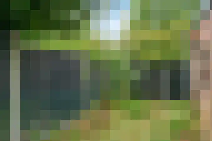 Veritasweg 28 Oosterbeek thumbnail 33