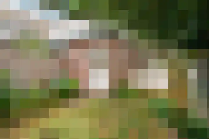 Veritasweg 28 Oosterbeek thumbnail 38