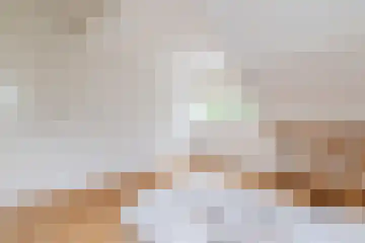 Verjaagde Ruiterweg 13 Achterveld thumbnail 44