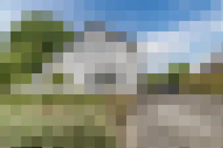 Verjaagde Ruiterweg 13 Achterveld thumbnail 5