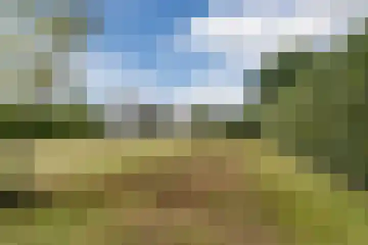 Verjaagde Ruiterweg 13 Achterveld thumbnail 56