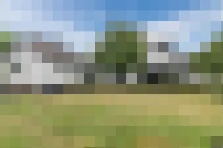 Verjaagde Ruiterweg 13 Achterveld thumbnail 58