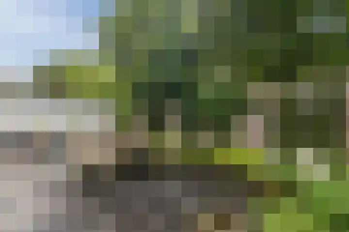 Verjaagde Ruiterweg 13 Achterveld thumbnail 60