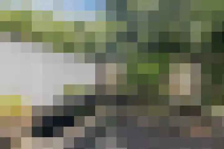 Verjaagde Ruiterweg 13 Achterveld thumbnail 61