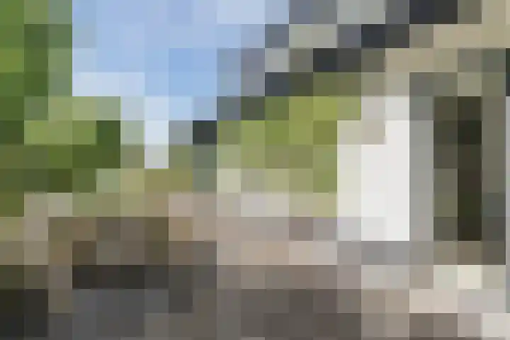 Verjaagde Ruiterweg 13 Achterveld thumbnail 62