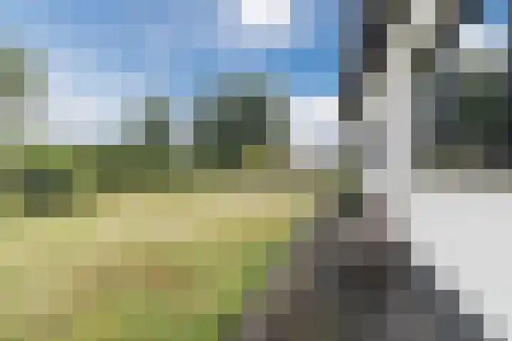 Verjaagde Ruiterweg 13 Achterveld thumbnail 63