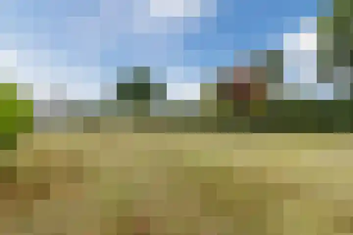 Verjaagde Ruiterweg 13 Achterveld thumbnail 64