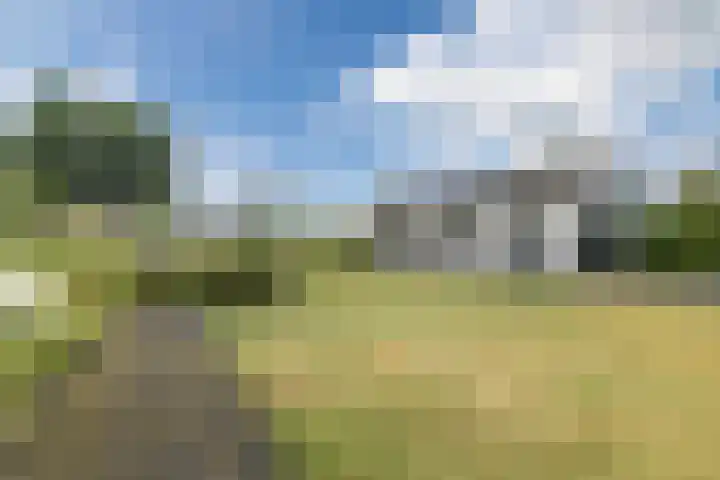 Verjaagde Ruiterweg 13 Achterveld thumbnail 65