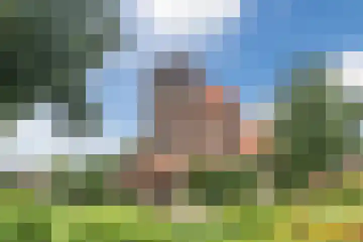 Verjaagde Ruiterweg 13 Achterveld thumbnail 67