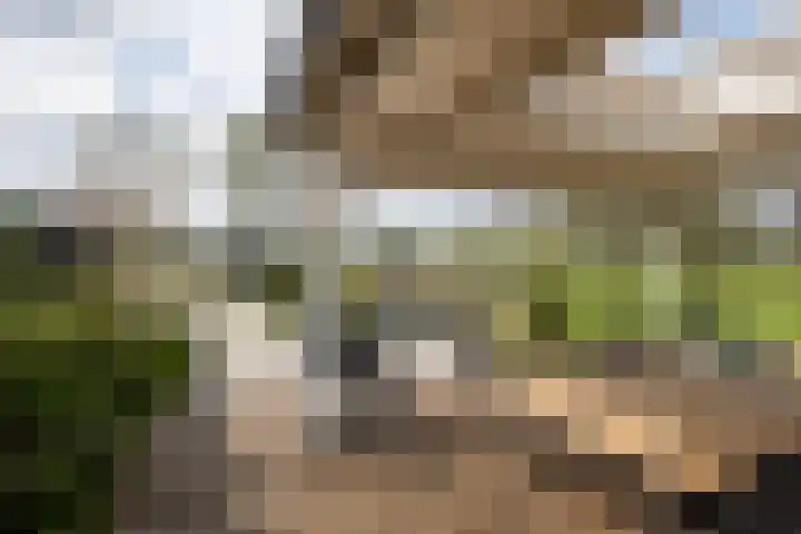 Verjaagde Ruiterweg 23 Achterveld thumbnail 11