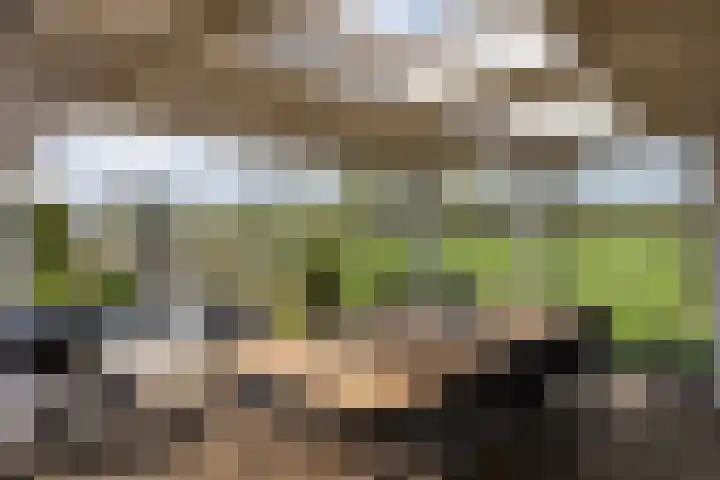 Verjaagde Ruiterweg 23 Achterveld thumbnail 12