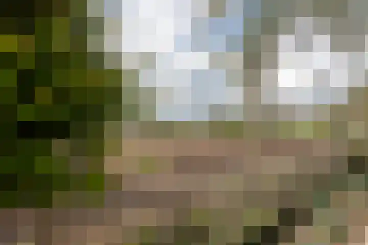Verjaagde Ruiterweg 23 Achterveld thumbnail 16