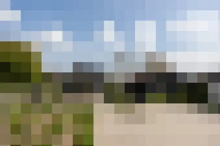 Verjaagde Ruiterweg 23 Achterveld thumbnail 18