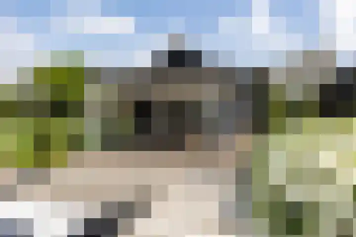 Verjaagde Ruiterweg 23 Achterveld thumbnail 21