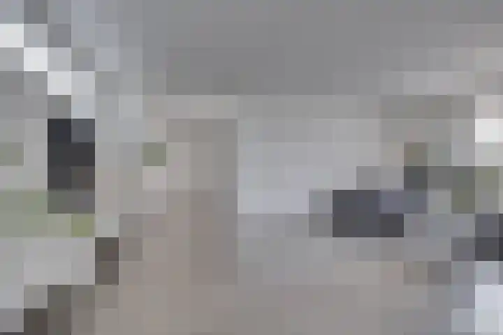 Verjaagde Ruiterweg 23 Achterveld thumbnail 25