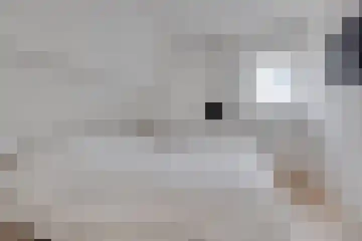 Verjaagde Ruiterweg 23 Achterveld thumbnail 29