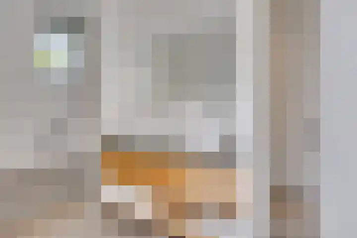 Verjaagde Ruiterweg 23 Achterveld thumbnail 34
