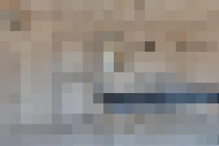 Verjaagde Ruiterweg 23 Achterveld thumbnail 37