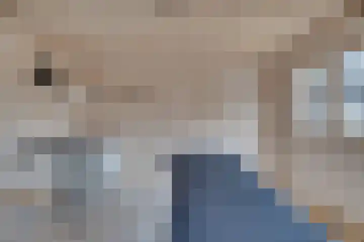 Verjaagde Ruiterweg 23 Achterveld thumbnail 38