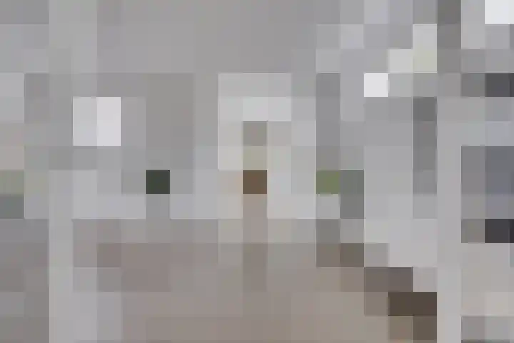 Verjaagde Ruiterweg 23 Achterveld thumbnail 4