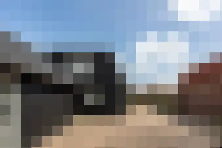 Verjaagde Ruiterweg 23 Achterveld thumbnail 40