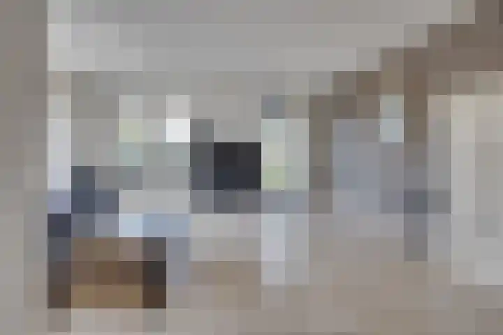 Verjaagde Ruiterweg 23 Achterveld thumbnail 45