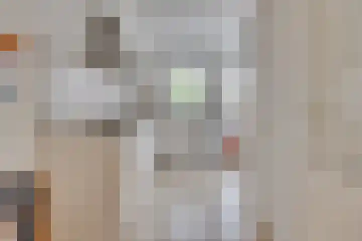 Verjaagde Ruiterweg 23 Achterveld thumbnail 49