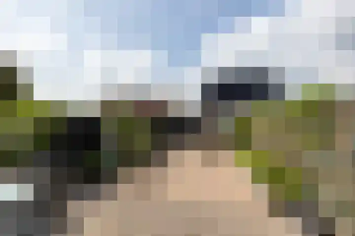 Verjaagde Ruiterweg 23 Achterveld thumbnail 58