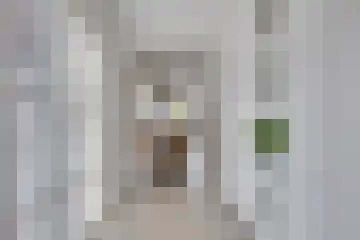 Verjaagde Ruiterweg 23 Achterveld thumbnail 6