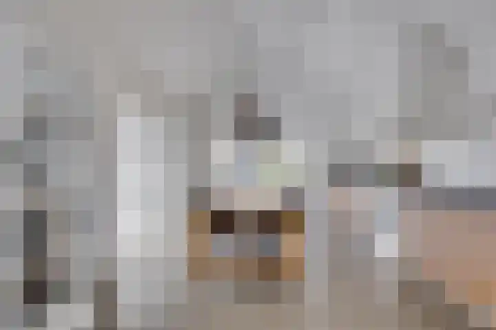 Verjaagde Ruiterweg 23 Achterveld thumbnail 7