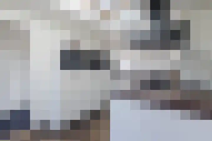 Verjaagde Ruiterweg 4 Achterveld thumbnail 11