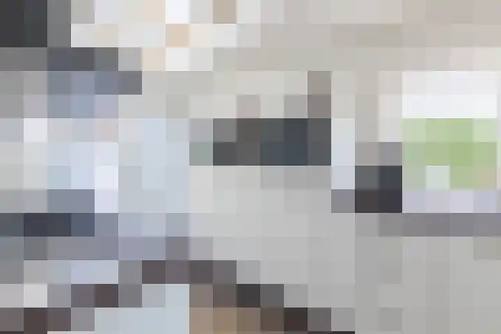 Verjaagde Ruiterweg 4 Achterveld thumbnail 14