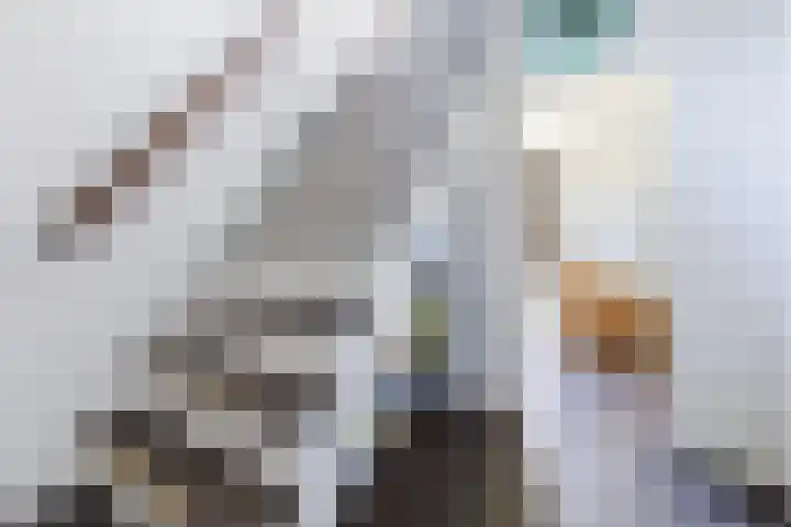 Verjaagde Ruiterweg 4 Achterveld thumbnail 23