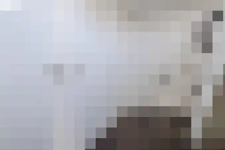 Verjaagde Ruiterweg 4 Achterveld thumbnail 24