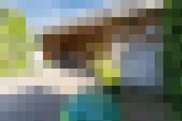 Verjaagde Ruiterweg 4 Achterveld thumbnail 38