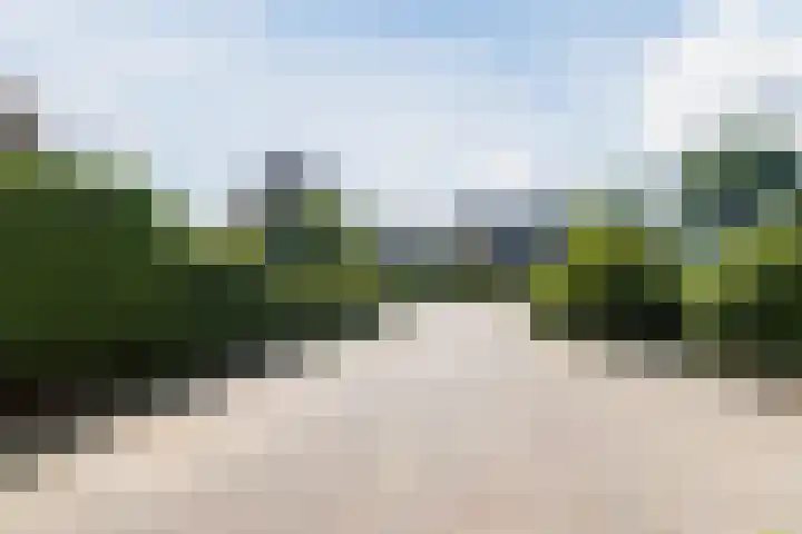 Verjaagde Ruiterweg 4 Achterveld thumbnail 42