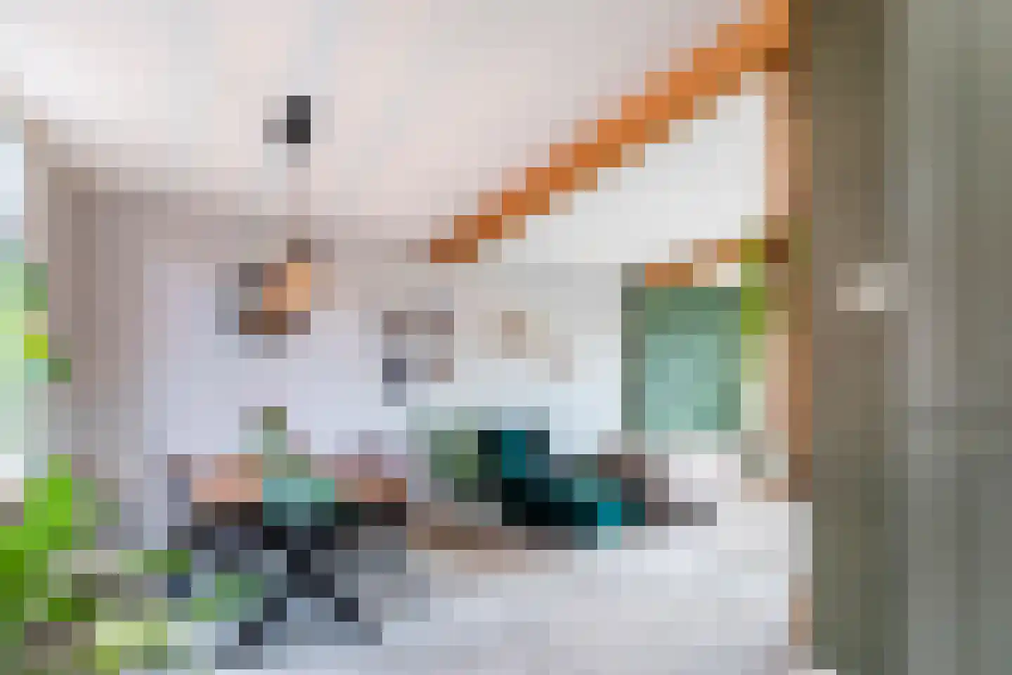 Verkadestraat 6 Maasdijk thumbnail 10