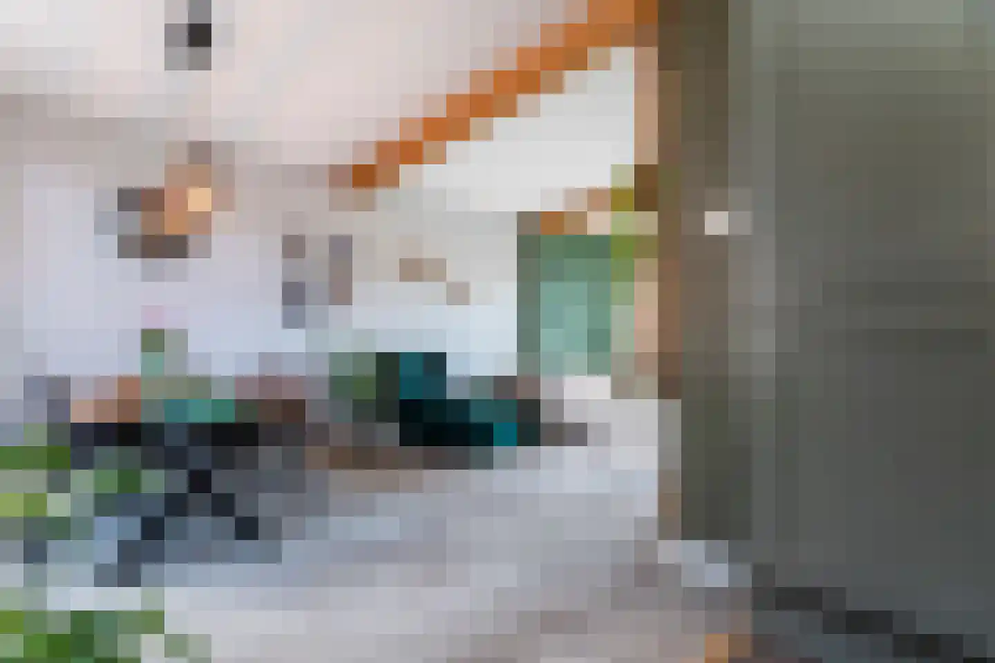 Verkadestraat 6 Maasdijk thumbnail 14