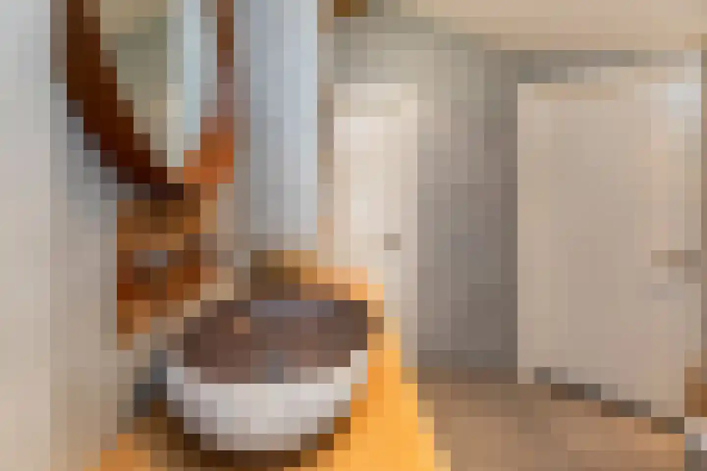 Verkadestraat 6 Maasdijk thumbnail 22