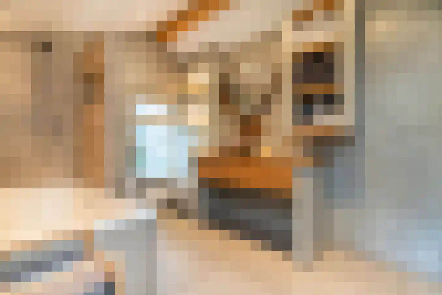 Verkadestraat 6 Maasdijk thumbnail 24