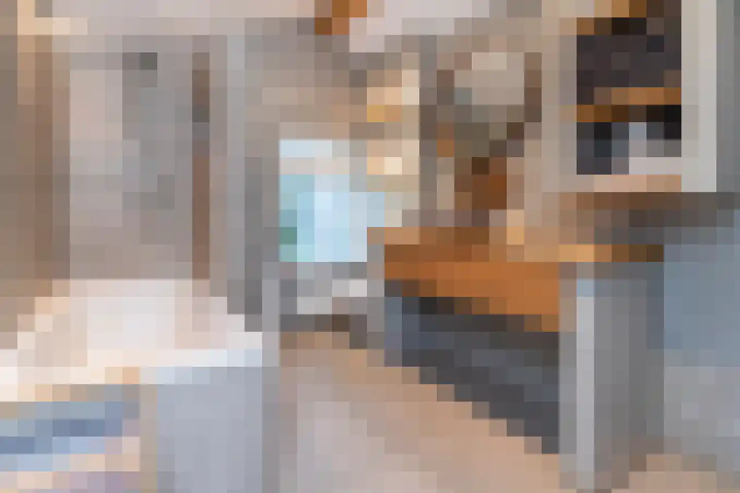 Verkadestraat 6 Maasdijk thumbnail 4