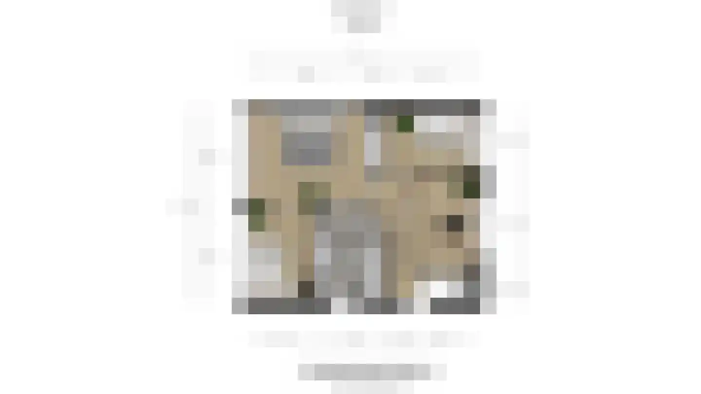 Verkadestraat 6 Maasdijk thumbnail 41