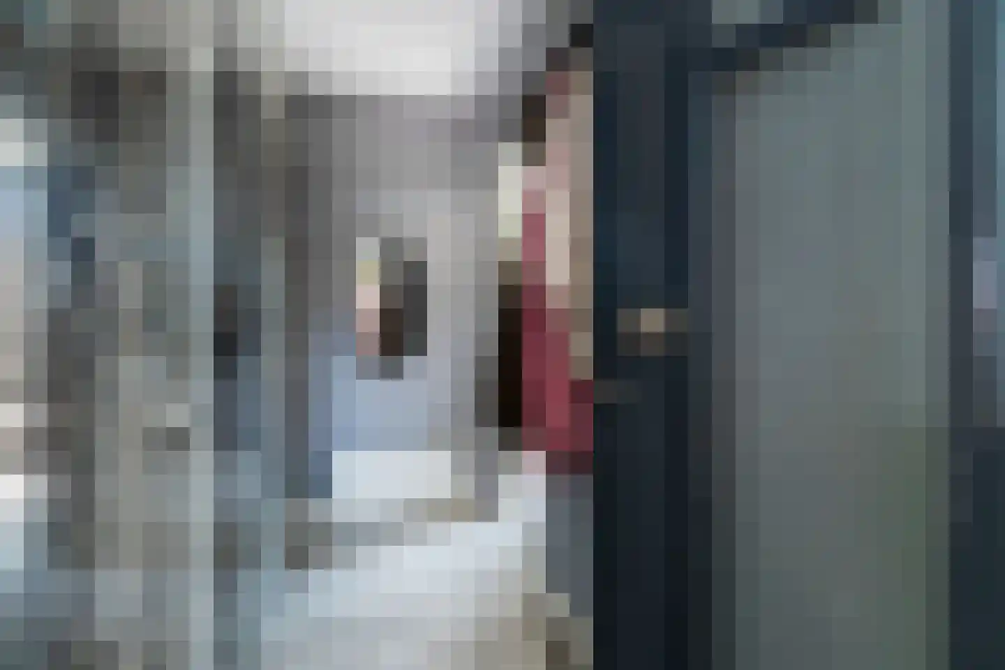 Verkadestraat 6 Maasdijk thumbnail 5
