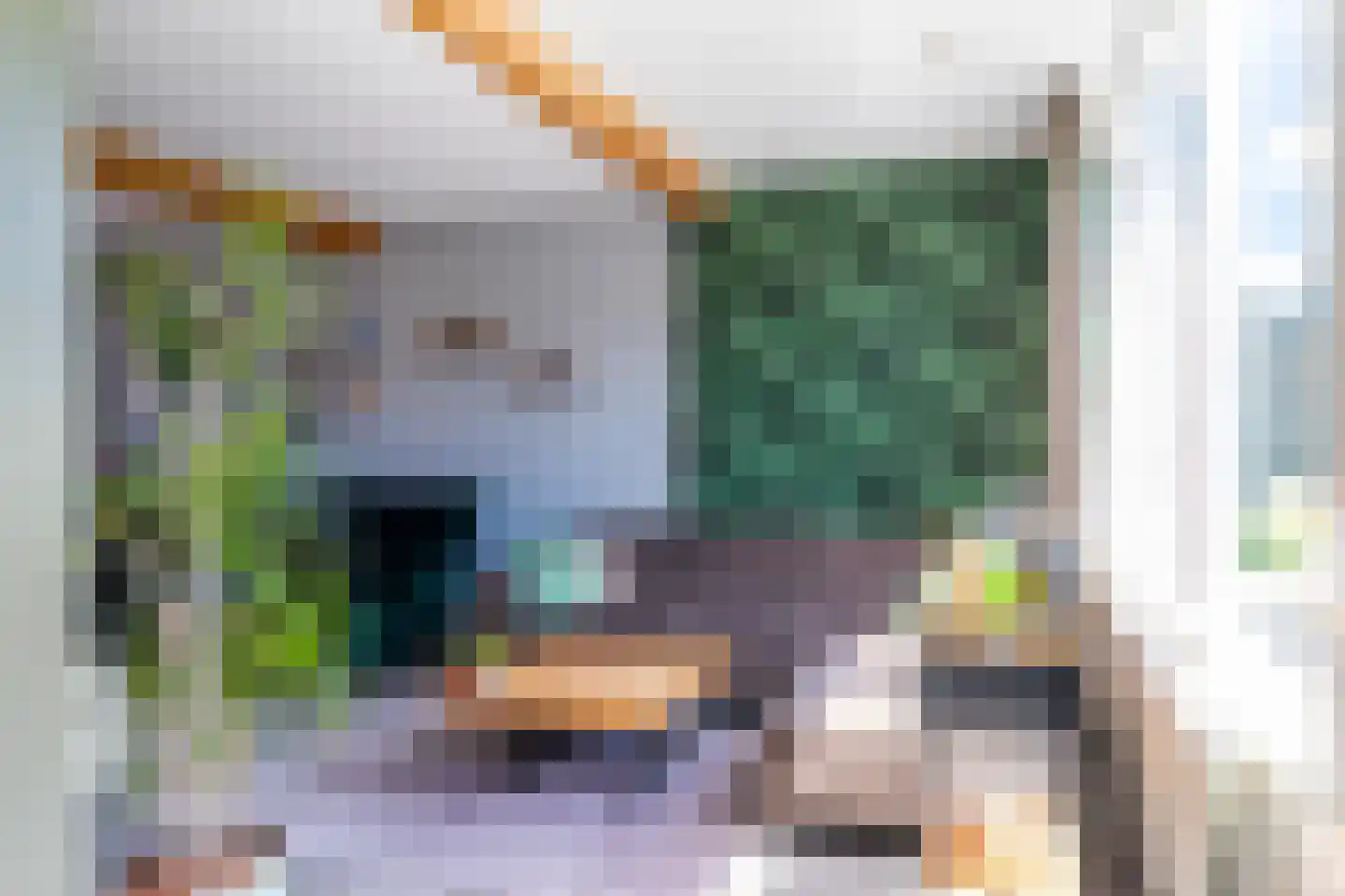 Verkadestraat 6 Maasdijk thumbnail 7