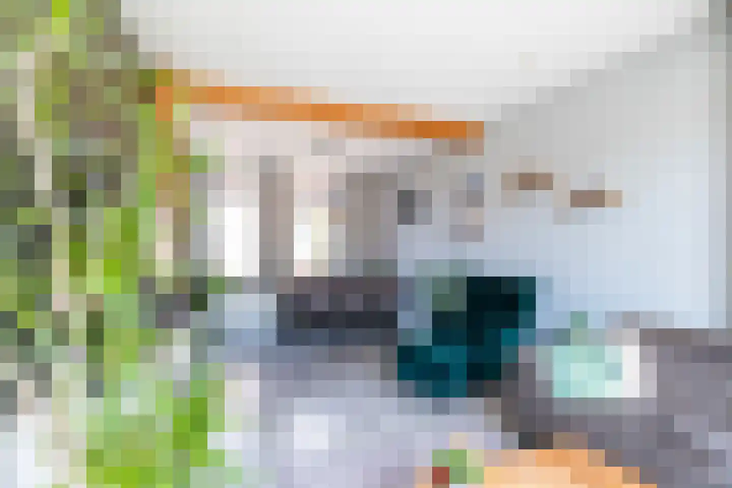 Verkadestraat 6 Maasdijk thumbnail 8