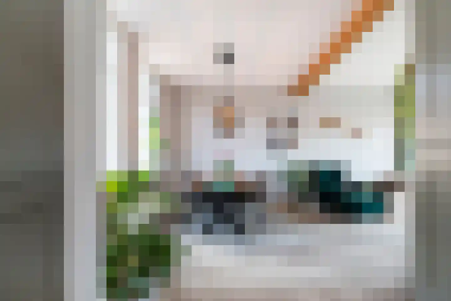Verkadestraat 6 Maasdijk thumbnail 9