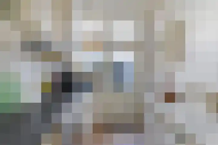 Verkuijl Quakkelaarstraat 25 Vlissingen thumbnail 18